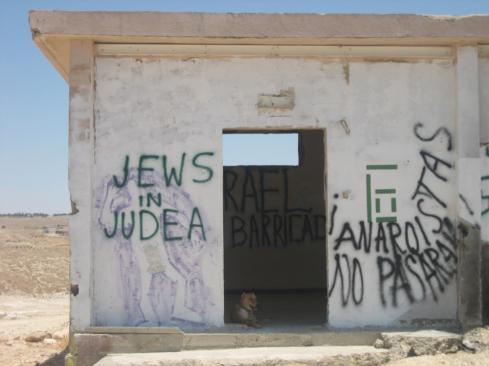 settler-graffiti.jpg